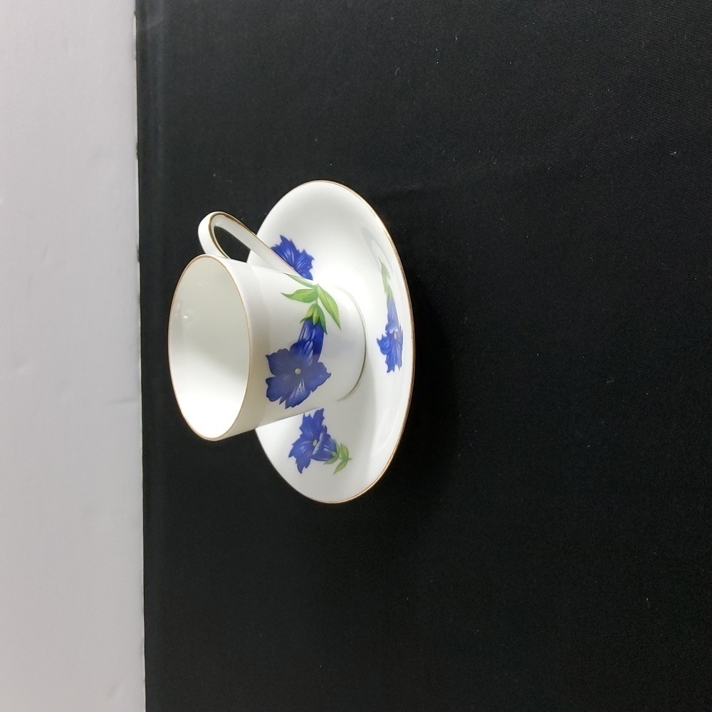 Bavaria Germany Teacup & Saucer